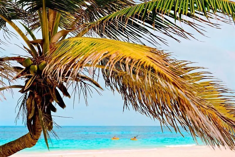 Hotel Mukan Resort South Of Tulum