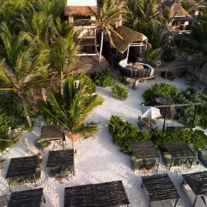 Orchid House (adults Only) Tulum